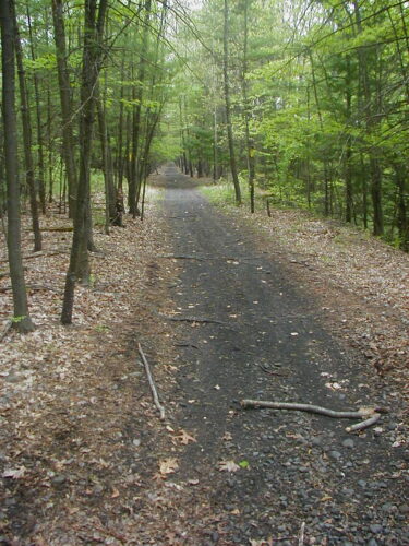 “Bridge & Tunnel" trail section currently under development